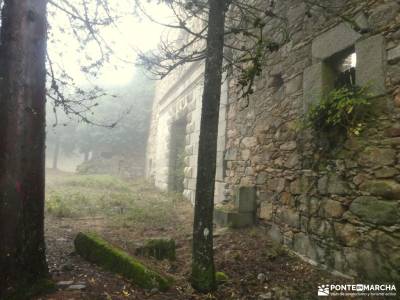 Castañar de la Sierra de San Vicente - Castillo de Viriato;liencres dunas programas de viajes ruta 7